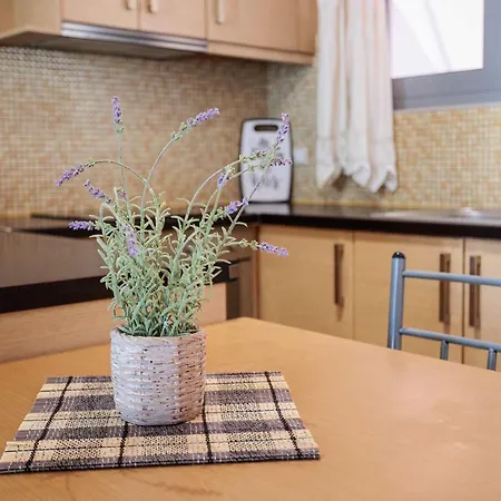 Appartement Cozy Cental Retreats With Balconies *